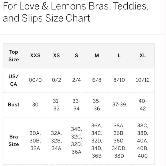 NWT For Love and Lemons X VS Bra & Panties Set L - Picture 14 of 14